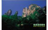 網(wǎng)絡(luò)熱門(mén)純玩游：張家界、天子山、袁家界、楊家界 自助三日游