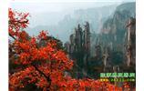 春節(jié)期間：張家界、天子山、金鞭溪自駕車精華精品游