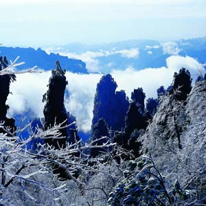 LD線：張家界、天子山、楊家界、猛洞河漂流純玩四日游