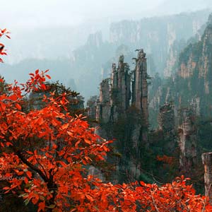 休閑自駕E線：張家界、袁家界、天子山、寶峰湖、鳳凰古城、沱江泛舟四晚五日游