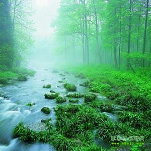【純玩散拼尊享系列3】張家界、天子山、袁家界、黃龍洞、鳳凰三晚四日游
