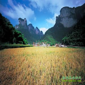 張家界往返純玩散拼：矮寨大橋、德夯苗寨、鳳凰古城、芙蓉鎮(zhèn)二日游