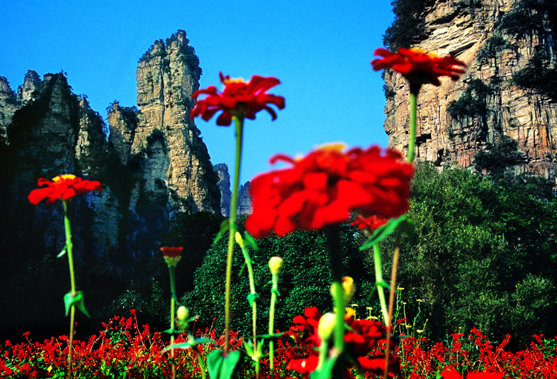 LF線：張家界國(guó)家森林公園、猛洞河漂流、鳳凰古城純玩自助五日游